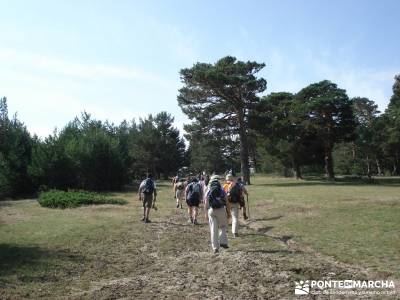 Valle del Lozoya - Camino de la Angostura;senderismo segovia viajes de un dia